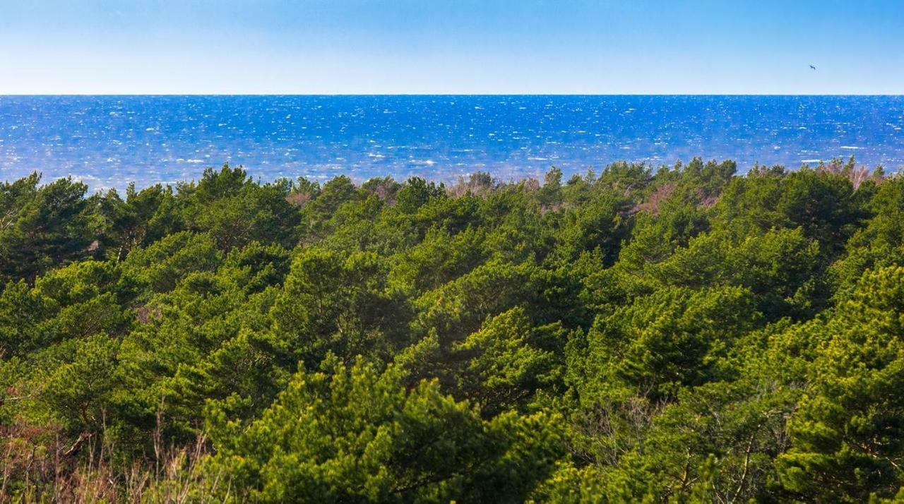 Апартаменты Palanga Sea View Экстерьер фото